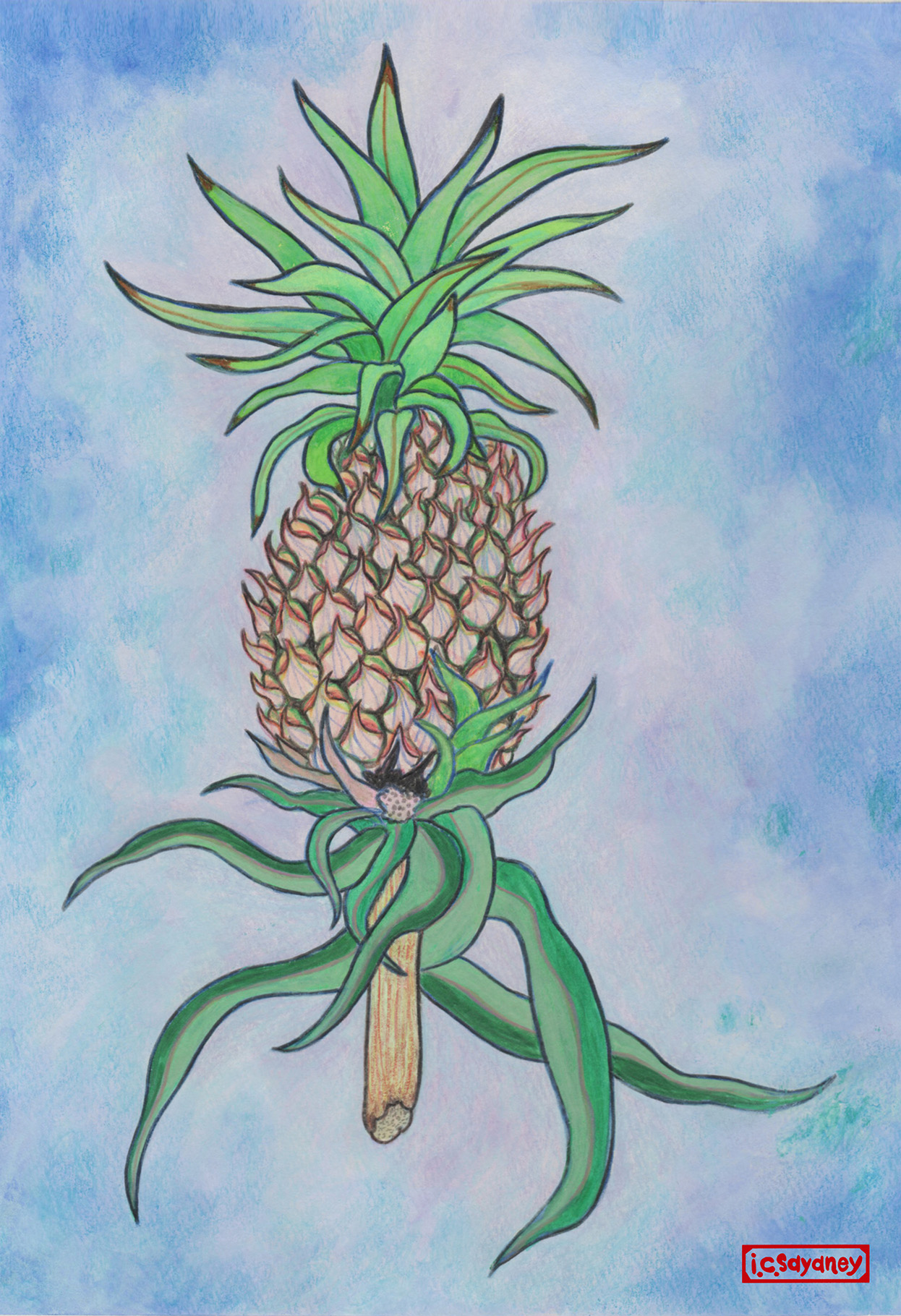 超パイナップルーThe Pineapple