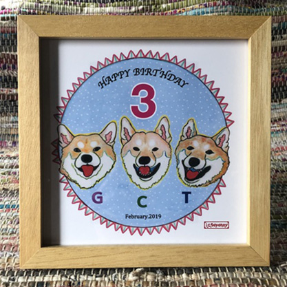 23)柴犬3兄弟のお誕生日